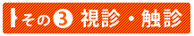 その③　視診・触診